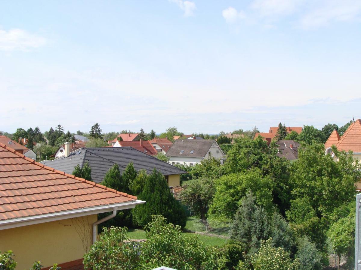 Nefelejcs Apartmanhaz Дьєнешдіаш Номер фото